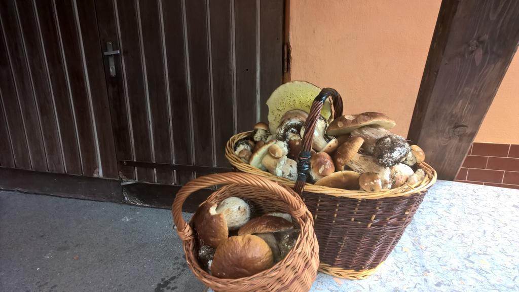 Penzion Jizerka Jablonec nad Nisou Εξωτερικό φωτογραφία